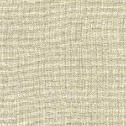Barbosa Beige Woven Texture