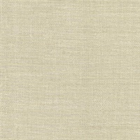 Barbosa Beige Woven Texture
