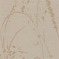 Barnaby Gardens Brushed Brass