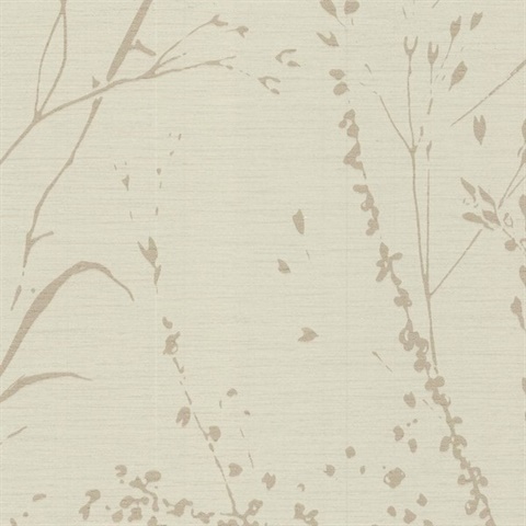 Barnaby Gardens Champagne Whisper