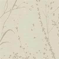 Barnaby Gardens Champagne Whisper