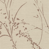 Barnaby Gardens Honey Beige