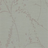 Barnaby Gardens Juniper Grove