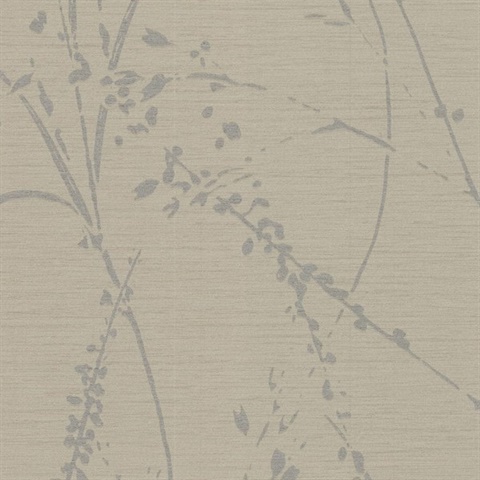 Barnaby Gardens Stone Fern