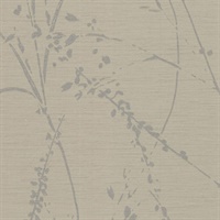 Barnaby Gardens Stone Fern