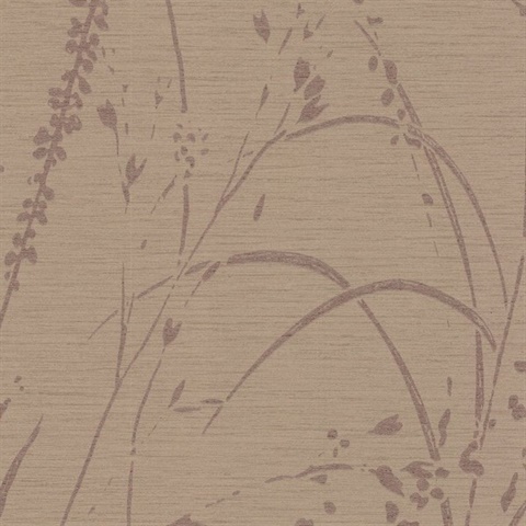 Barnaby Gardens Sugared Maple