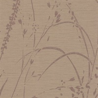 Barnaby Gardens Sugared Maple