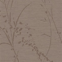 Barnaby Gardens Sunset Clay