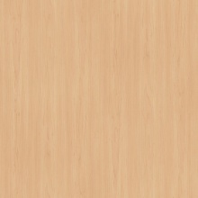 Basic Wood Maple Flat Grain 1