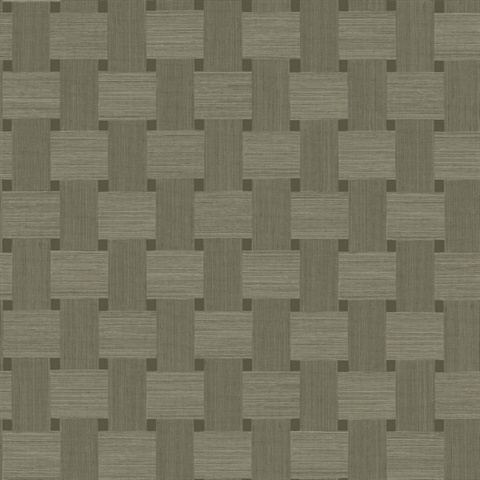 Basketweave 54 Raw Umber