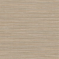 Bayberry Linen Bee Canna