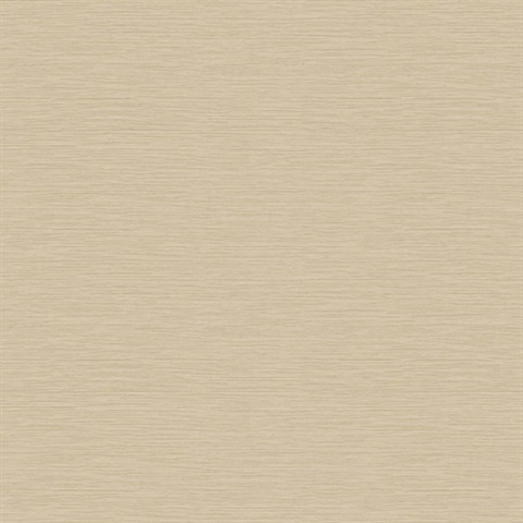 Bazaar Plain Warm Desert