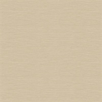 Bazaar Plain Warm Desert