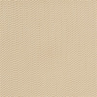 Bead It! Golden Saucer