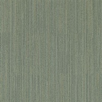 Beam Northern Lights