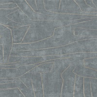 Bend the Rules Contort