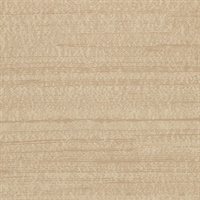 Big City Silk Winter Wheat