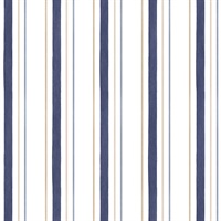 Blue & Gold Pinstripes