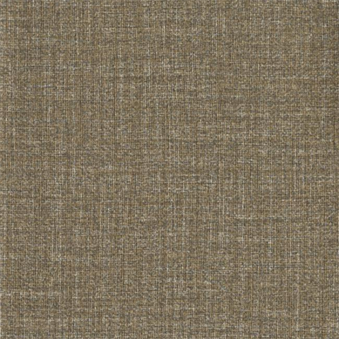 Boss Tweed Metropolitan