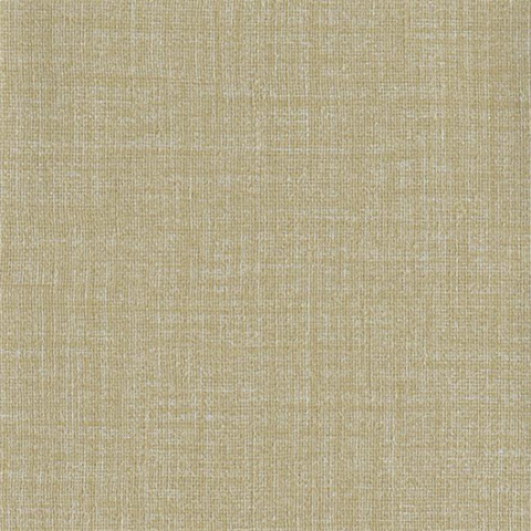 Boss Tweed Winchester