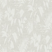 Botanical Grasscloth 54 Misty Isle