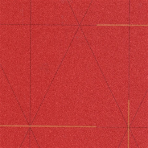 Brooklyn Sunshine Skyway