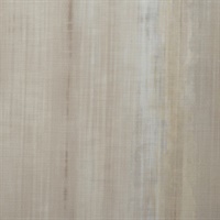 Brushworks Abstraction