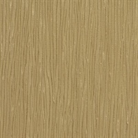 Bryce Desert Caravan