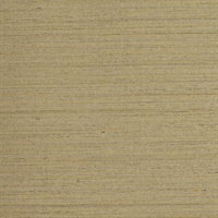 Cabot Moonlight Reflection