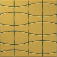 Cadence Evergreen+Sunlight