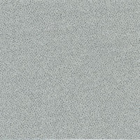 Canon Ball Silver Splattered Dots Wallcovering