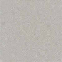 Canon Ball Taupe Splattered Dots Wallcovering