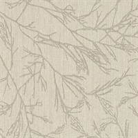 Canyon Willow Pine Creek