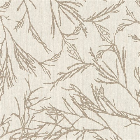 Canyon Willow Valley Peak