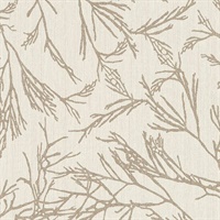 Canyon Willow Valley Peak