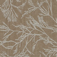 Canyon Willow Vermillion Cliffs