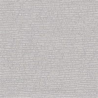 Carbon Light Pastel Gray