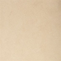 Carta Butternut Stone Commercial Vinyl