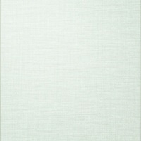 Cavatina Silk Linen Delhi Dew Drop