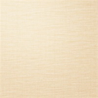 Cavatina Silk Linen Kashmir