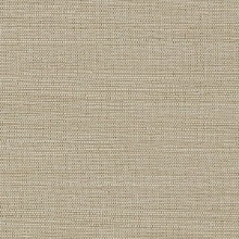 CD-CRW-245  Commercial Wallcovering
