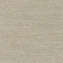 CD-CRW-246  Commercial Wallcovering