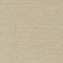 CD-CRW-247  Commercial Wallcovering