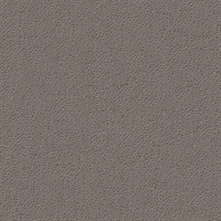 Celestial Magnetic  Commercial Vinyl