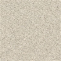 Celestial Starburst  Commercial Vinyl