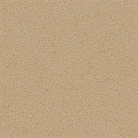 Celestial Sunspot  Commercial Vinyl