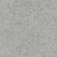 Cement 54 Paver Grey