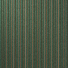 Channels Sunset+Evergreen