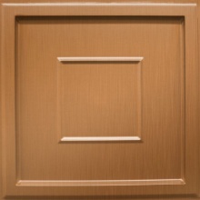 Check Yes Ceiling New Penny