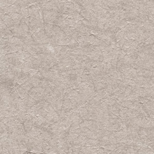 Chimayo Canyon Shadow